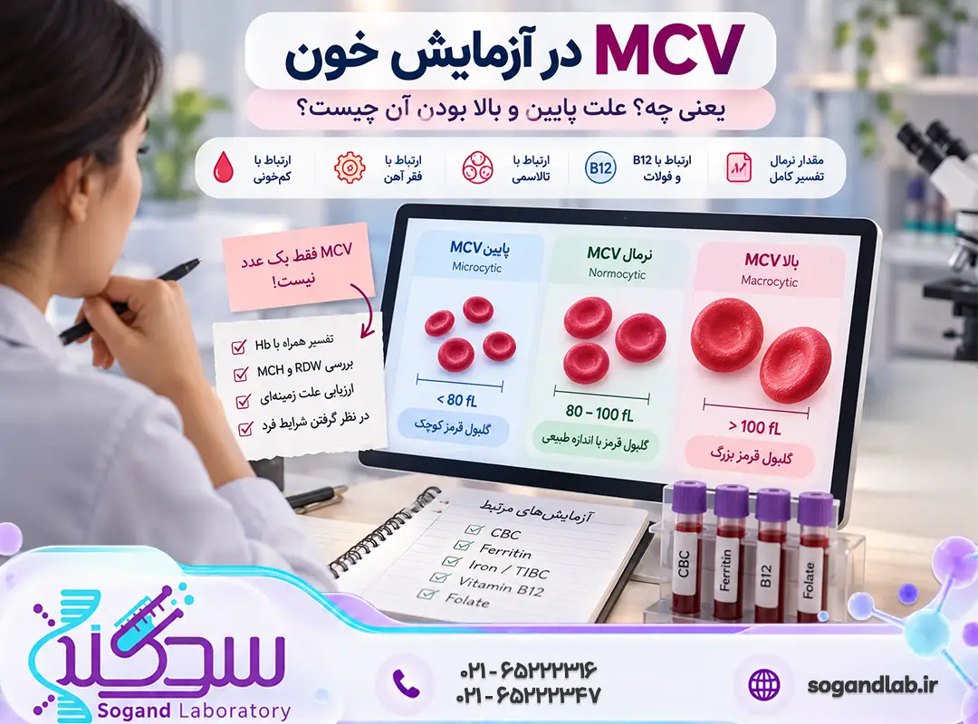 MCV در آزمایش خون چیست؟ MCV پایین، بالا و مقدار نرمال