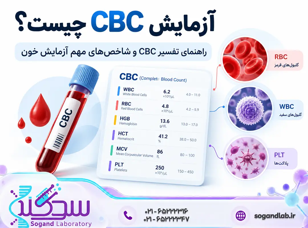آزمایش CBC چیست؟ تفسیر و مقادیر نرمال CBC