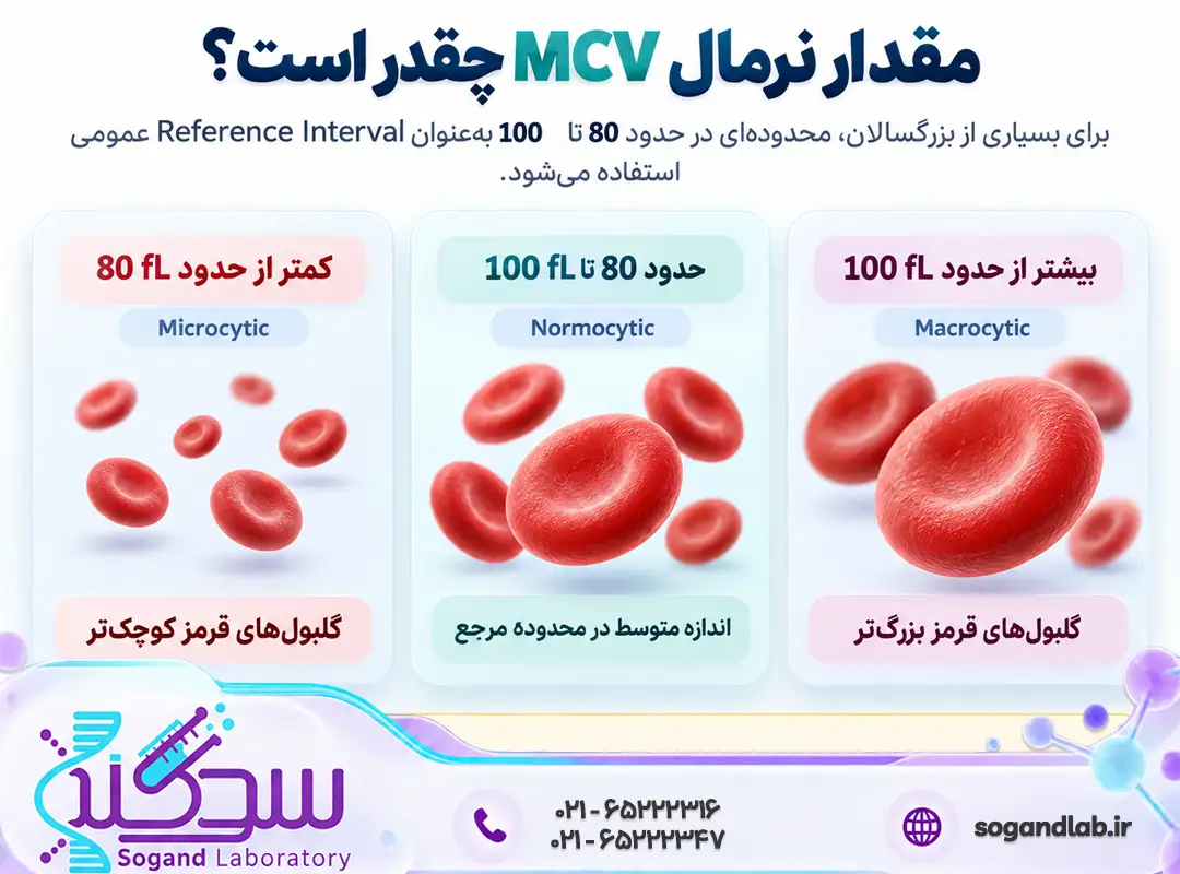 مقدار نرمال MCV چقدر است