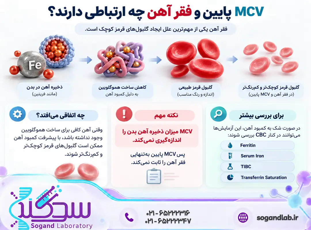 MCV پایین و فقر آهن چه ارتباطی دارند